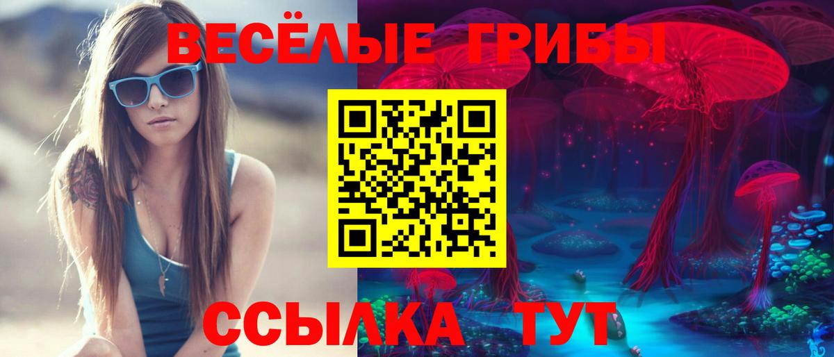 Можга  Галлюциногенные грибы Psilocybe  Вход с VPN 